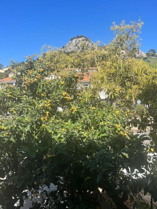 Tres Bel A * Hyères